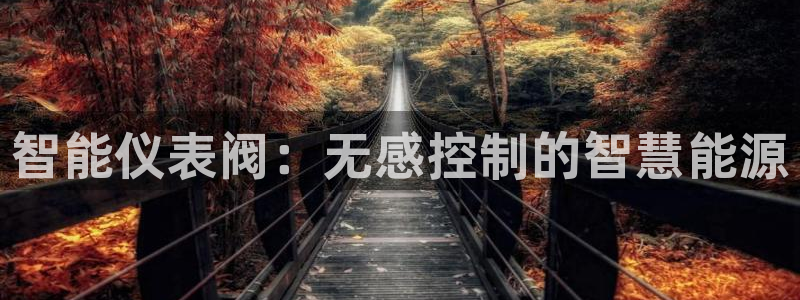 九游会论坛最大