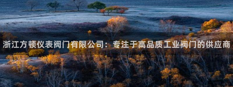 九游会官网在线客服