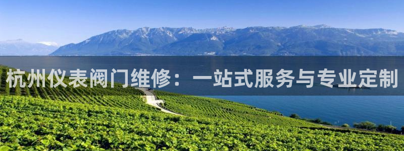 九游会正规备用网址