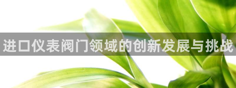 新版九游会