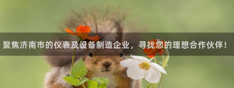 usdt九游会