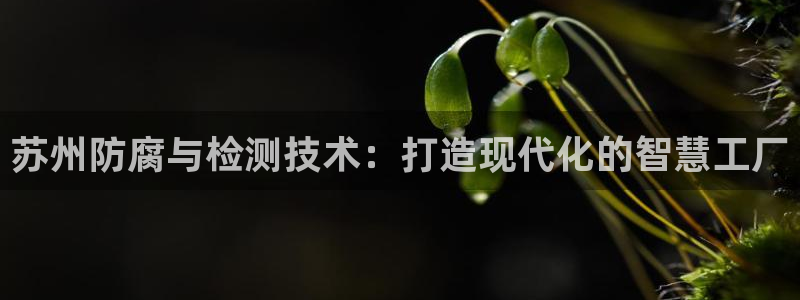 九游会可靠吗