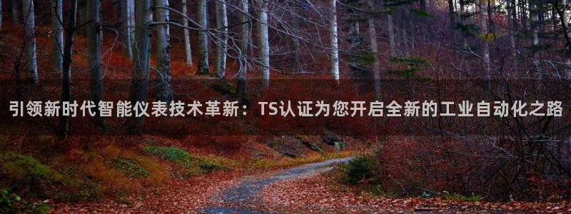 九游会ag手游网