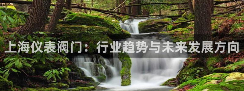 九游会9