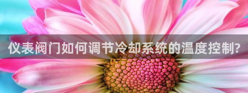 九游会AGapp下载