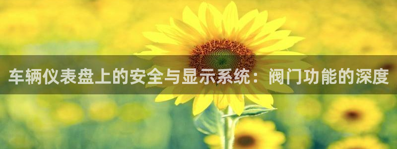 九游会网址国际