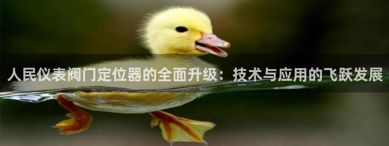 九游会不能注册