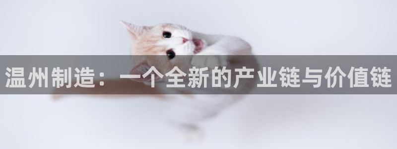 九游会新站