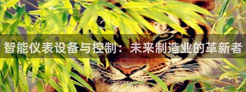 九游会ag亚洲集团官方网站