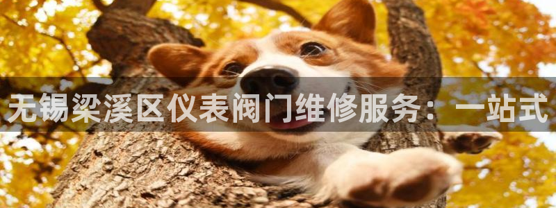 usdt九游会
