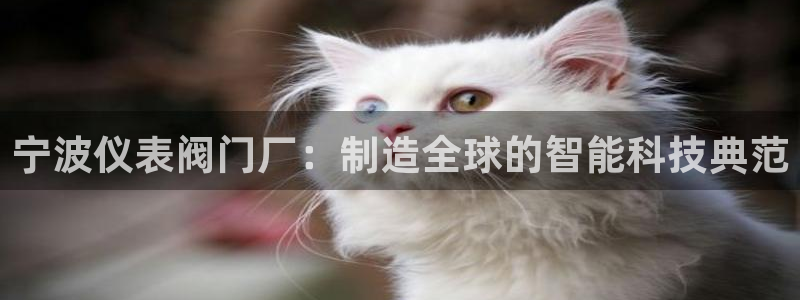 九游会亚洲游戏