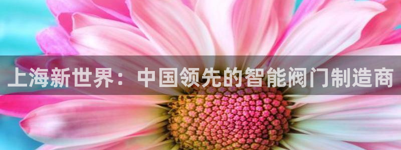 九游会亚洲集团