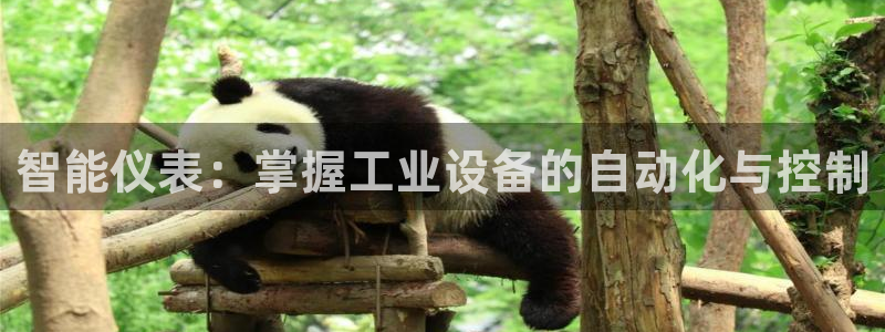 九游会ag合作平台