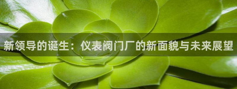 九游会连接