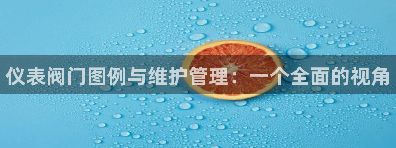 九阴手游青龙会怎么玩