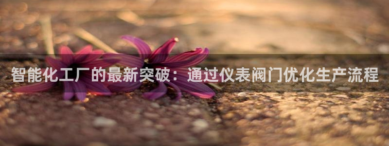 九游会官网登录不上