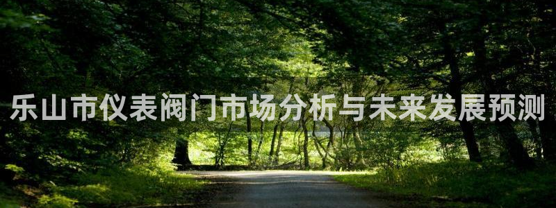 九游会怎么登录