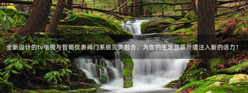 九游会官网登录中心官网