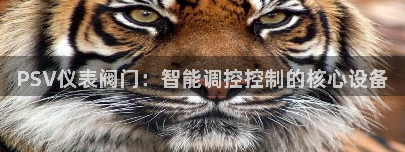 九游会无法登录吗