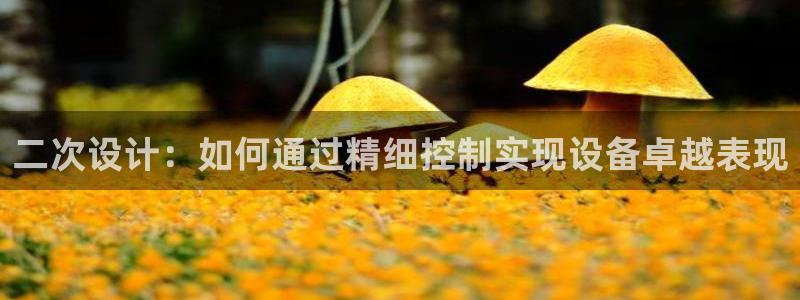 AG九游会登陆网址