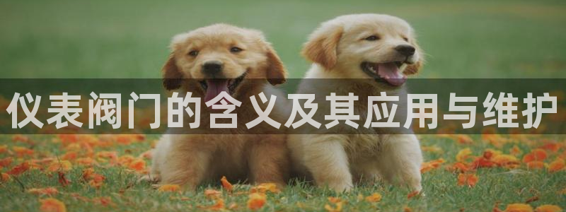 九游会j9手机旗舰