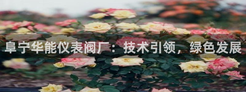 九游会体育官网登录