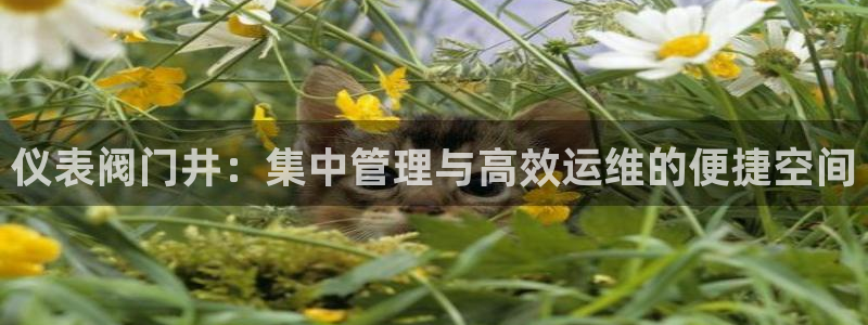 ag九游会老哥会