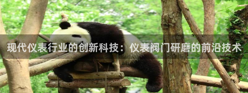 九游会大家有没有玩