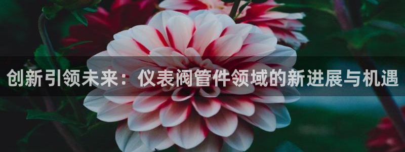 j9游戏九游会手机