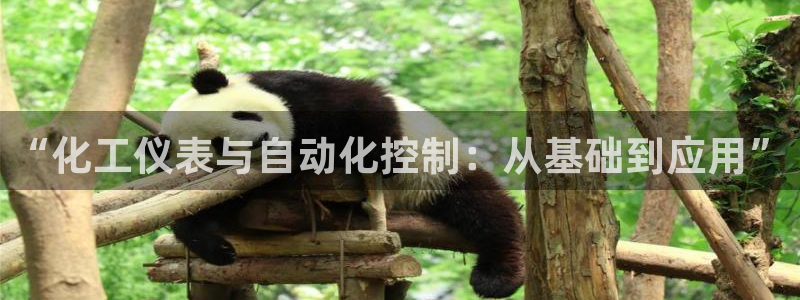 九游会官网手机版