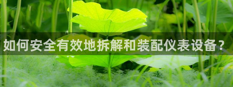 九游会黑网投诉吗