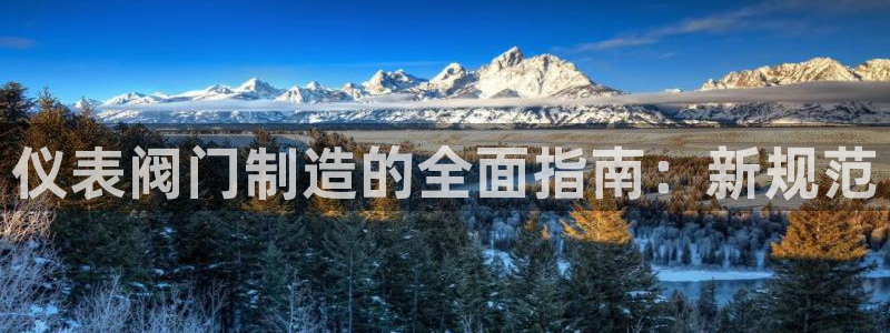 九游会网址多少九