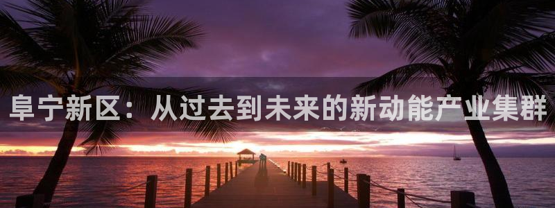 九游会官网在线客服